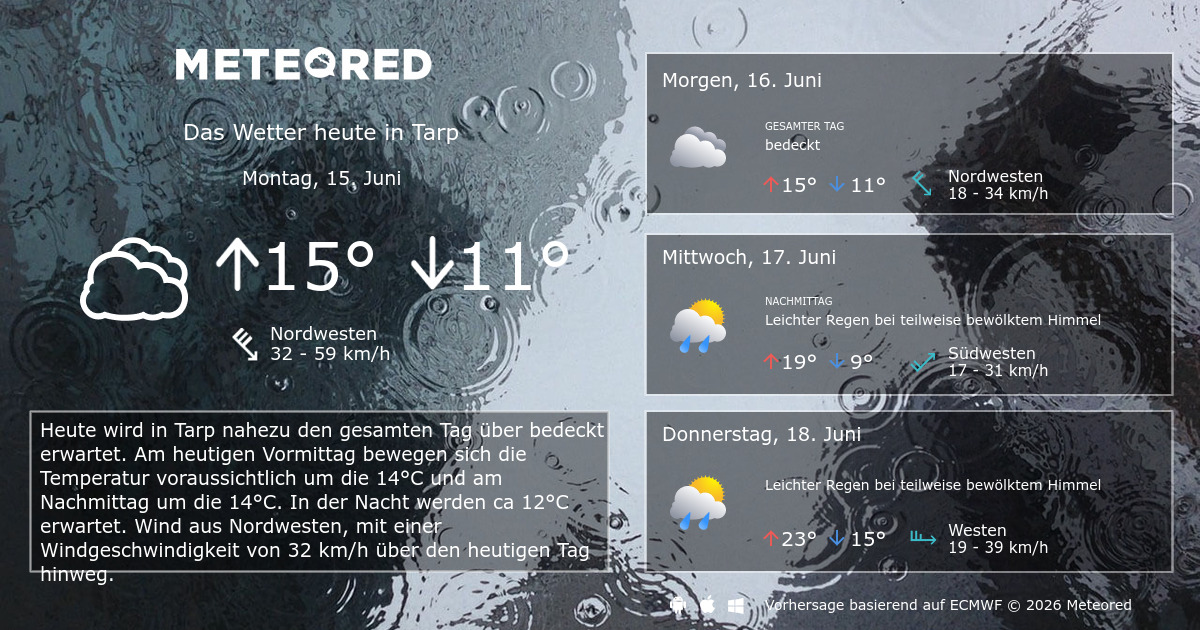 Wetter Tarp 14 Tage - Meteored Deutschland